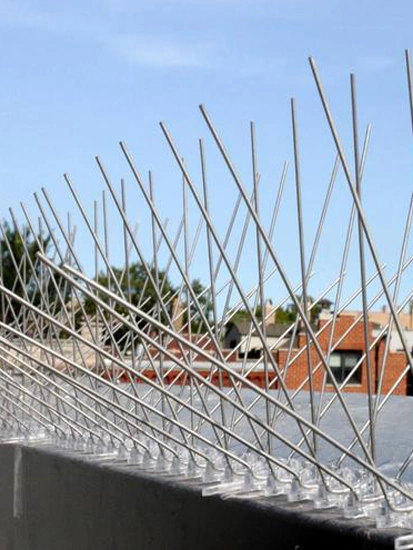 Srinivasulu Safety Nets Work 13