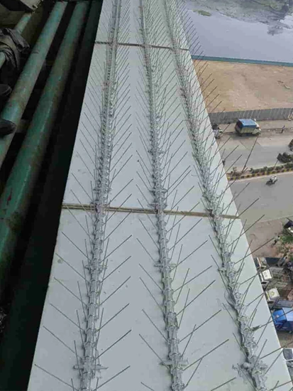 Srinivasulu Safety Nets Work 14