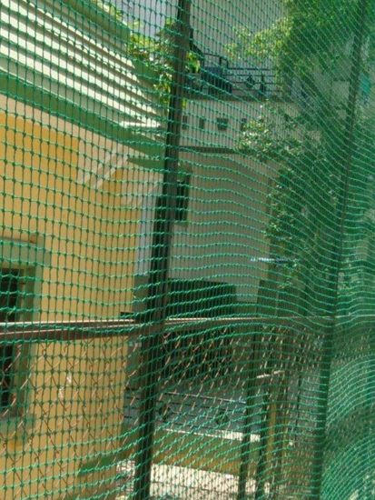 Srinivasulu Safety Nets Work 15