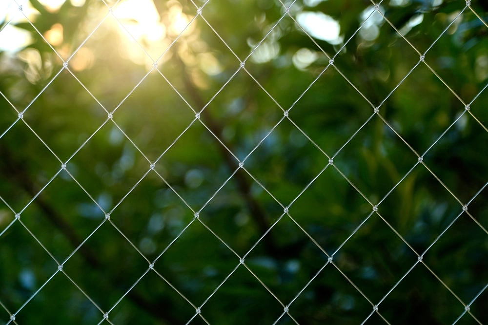 Srinivasulu Safety Nets