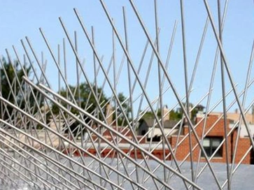 Bird Spikes Bird Spikes material and edge fixing
