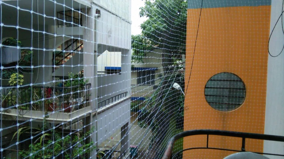 Bird net and balcony safety work