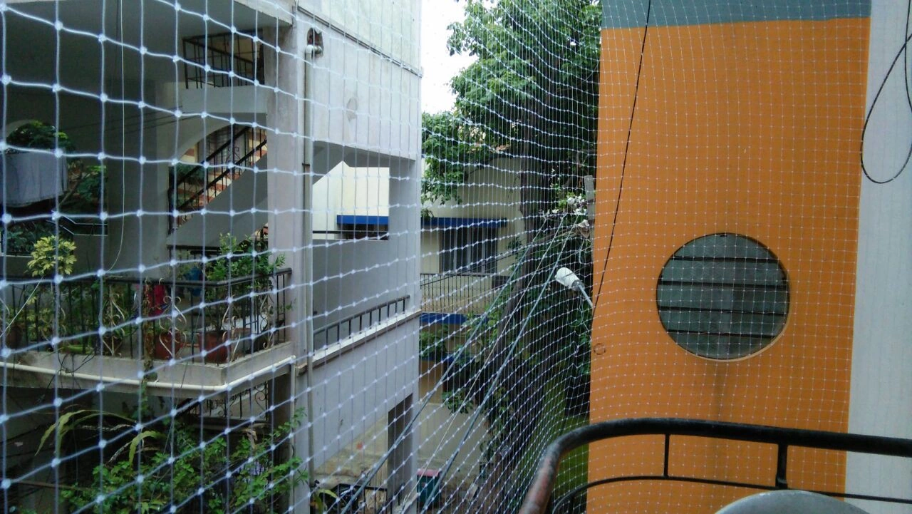 Sadashivpet pigeon nets installation