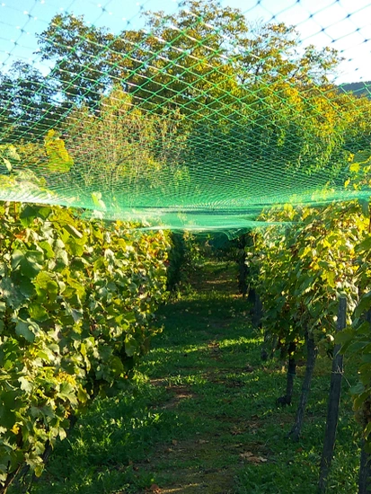 Srinivasulu Safety Nets Work 10